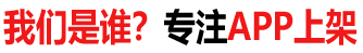 公司业务